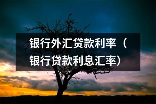 银行外汇贷款利率（银行贷款利息汇率）