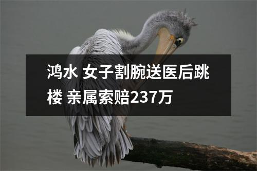 鸿水 女子割腕送医后跳楼 亲属索赔237万