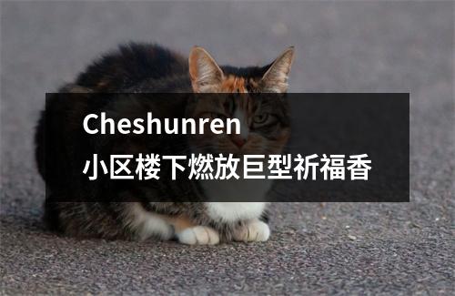 Cheshunren 小区楼下燃放巨型祈福香