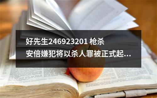 好先生246923201 枪杀安倍嫌犯将以杀人罪被正式起诉