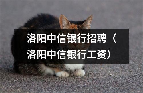 洛阳中信银行招聘（洛阳中信银行工资）