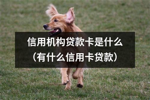 信用机构贷款卡是什么（有什么信用卡贷款）