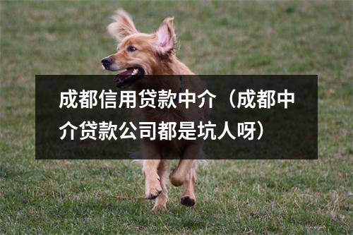 成都信用贷款中介（成都中介贷款公司都是坑人呀）