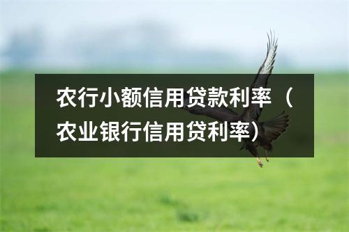 农行小额信用贷款利率（农业银行信用贷利率）