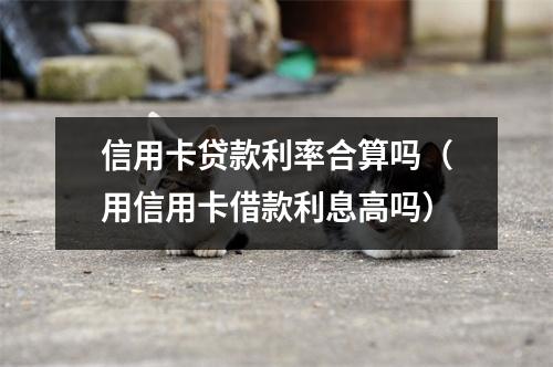 信用卡贷款利率合算吗(用信用卡借款利息高吗)