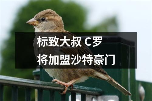 标致大叔 C罗将加盟沙特豪门