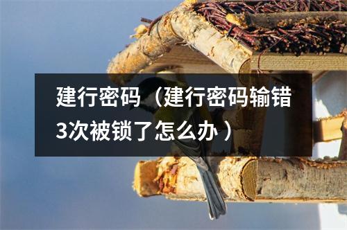 建行密码(建行密码输错3次被锁了怎么办 )