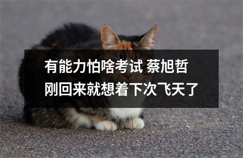 有能力怕啥考试 蔡旭哲刚回来就想着下次飞天了