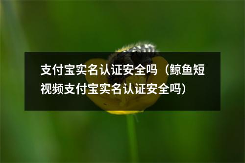 支付宝实名认证安全吗（鲸鱼短视频支付宝实名认证安全吗）