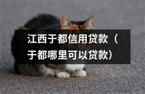 江西于都信用贷款（于都哪里可以贷款）