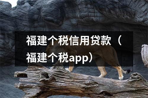 福建个税信用贷款（福建个税app）