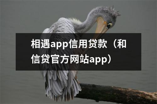 相遇app信用贷款（和信贷官方网站app）