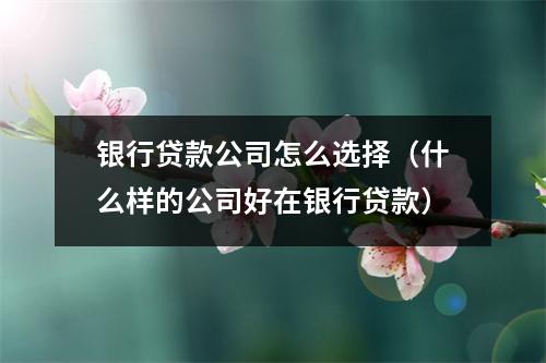 银行贷款公司怎么选择（什么样的公司好在银行贷款）