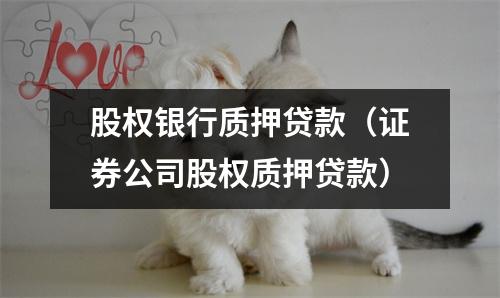 股权银行质押贷款（证券公司股权质押贷款）