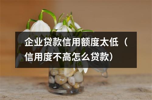企业贷款信用额度太低(信用度不高怎么贷款)