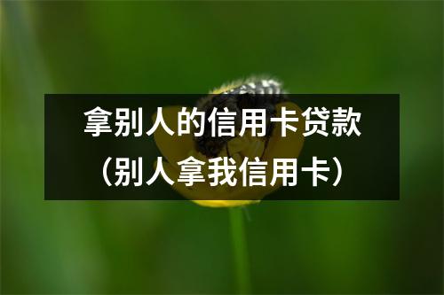 拿别人的信用卡贷款（别人拿我信用卡）