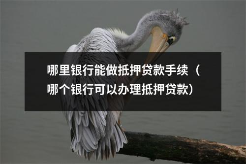 哪里银行能做抵押贷款手续（哪个银行可以办理抵押贷款）