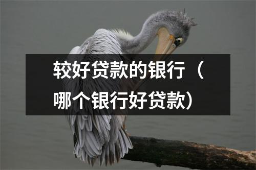 较好贷款的银行（哪个银行好贷款）
