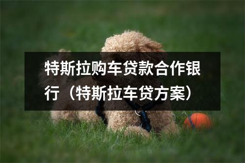 特斯拉购车贷款合作银行（特斯拉车贷方案）