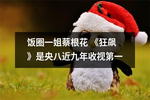 饭圈一姐蔡根花 《狂飙》是央八近九年收视第一