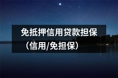 免抵押信用贷款担保（信用/免担保）