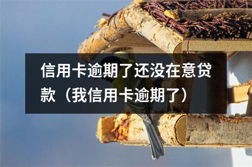 信用卡逾期了还没在意贷款（我信用卡逾期了）