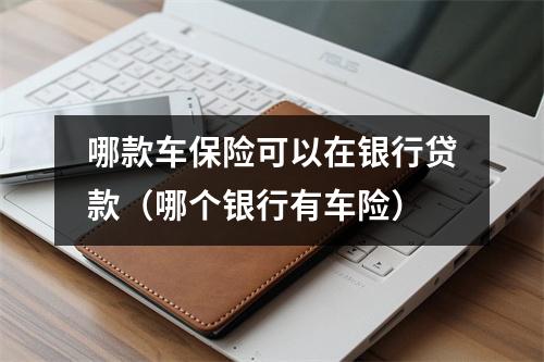 哪款车保险可以在银行贷款（哪个银行有车险）