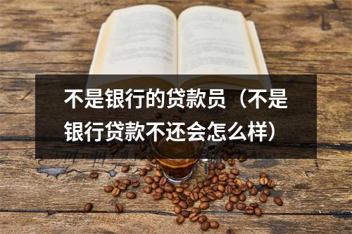 不是银行的贷款员（不是银行贷款不还会怎么样）