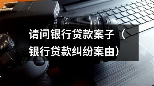 请问银行贷款案子（银行贷款纠纷案由）