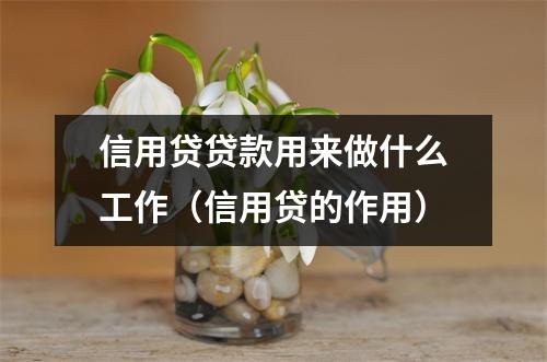 信用贷贷款用来做什么工作（信用贷的作用）
