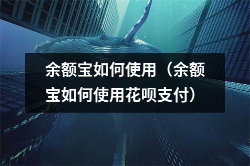 余额宝如何使用（余额宝如何使用花呗支付）