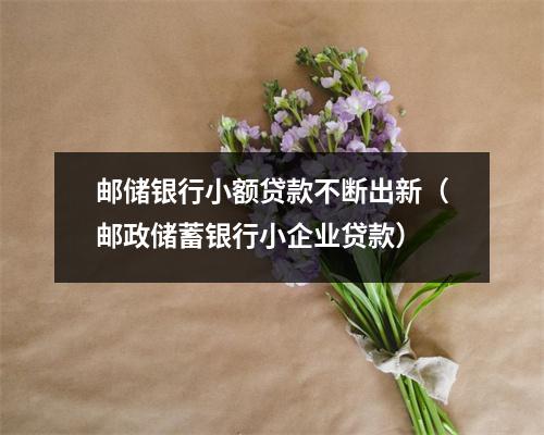 邮储银行小额贷款不断出新（邮政储蓄银行小企业贷款）