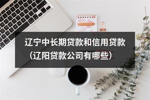 辽宁中长期贷款和信用贷款（辽阳贷款公司有哪些）