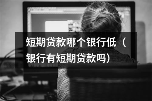 短期贷款哪个银行低（银行有短期贷款吗）
