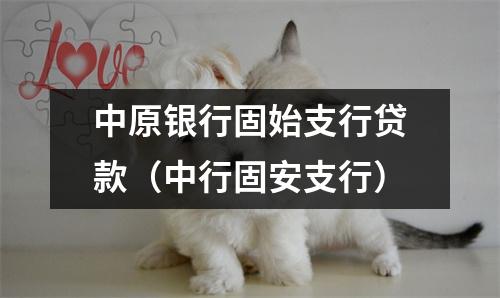 中原银行固始支行贷款（中行固安支行）