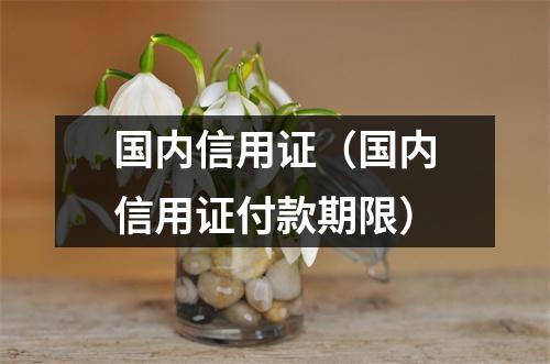 国内信用证（国内信用证付款期限）