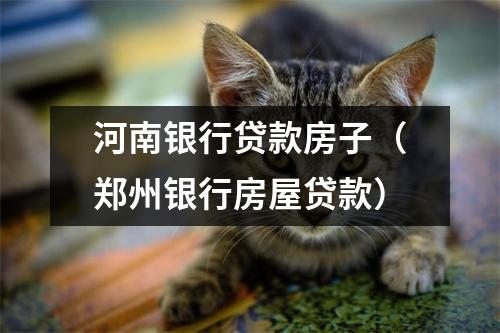 河南银行贷款房子（郑州银行房屋贷款）