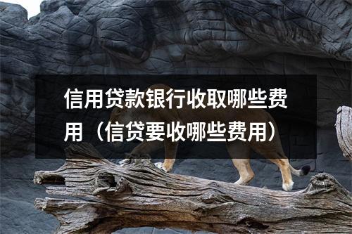 信用贷款银行收取哪些费用（信贷要收哪些费用）