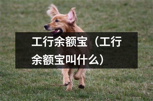 工行余额宝（工行余额宝叫什么）