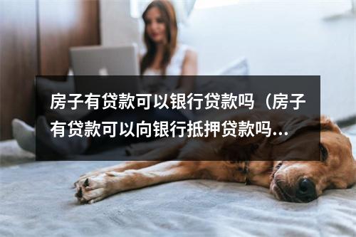 房子有贷款可以银行贷款吗（房子有贷款可以向银行抵押贷款吗）