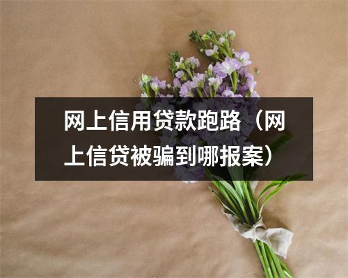 网上信用贷款跑路（网上信贷被骗到哪报案）