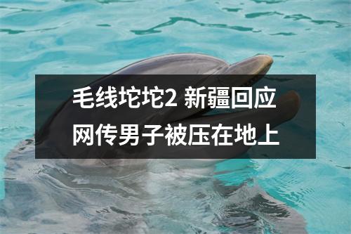 毛线坨坨2 新疆回应网传男子被压在地上