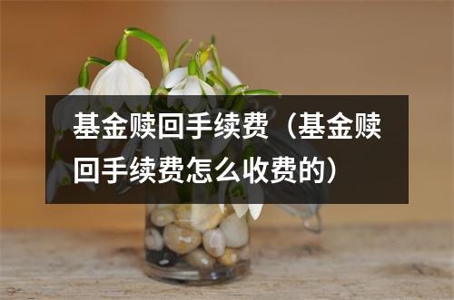 基金赎回手续费（基金赎回手续费怎么收费的）