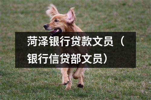 菏泽银行贷款文员（银行信贷部文员）