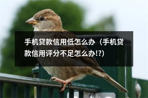 手机贷款信用低怎么办（手机贷款信用评分不足怎么办!?）