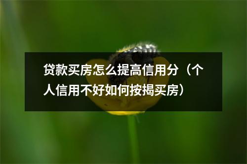 贷款买房怎么提高信用分（个人信用不好如何按揭买房）