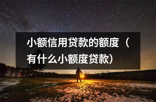 小额信用贷款的额度（有什么小额度贷款）