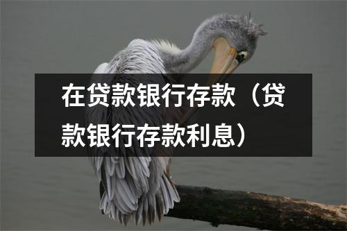 在贷款银行存款（贷款银行存款利息）