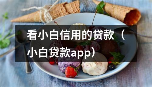 看小白信用的贷款（小白贷款app）