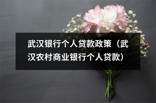 武汉银行个人贷款政策（武汉农村商业银行个人贷款）